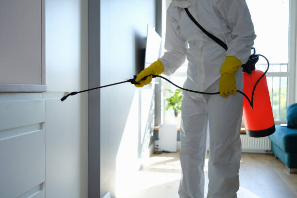 Best Biohazard Mold Removal  in Manor, TX